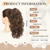 Sofeiyan Claw Clip-In Ponytail Extension, 33 cm Long Curly Ponytail