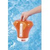 Chemicals with Thermometer Diameter 18 cm Pool Chlorine Dosage Float,