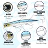 LUCKY CRAFT SW Surface Wander 120, Fishing Bait, Topwater (701