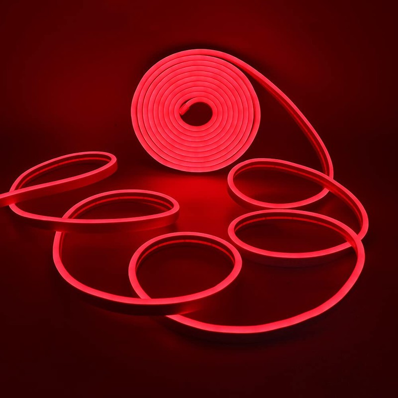 HEGEHE Dimmable LED Neon Light Strip Kit, 5m Red Neon