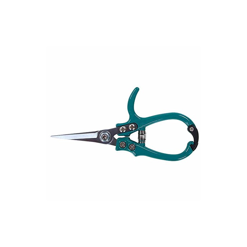 Siena Garden CG2090 Florists Scissors, Turquoise, 16.9 x 8.3 x