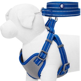 Blueberry Pet Essentials Pastel Color Reflective Matching Dog Harness Vest and Leash Set in Navy, Adjustable Harness with 5 ft Leash for Small Dogs