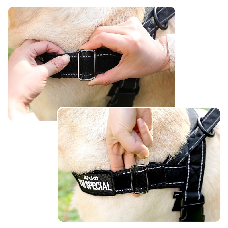 Adjustable Dog Harness for Small Medium Large Dogs, Reflective Escape