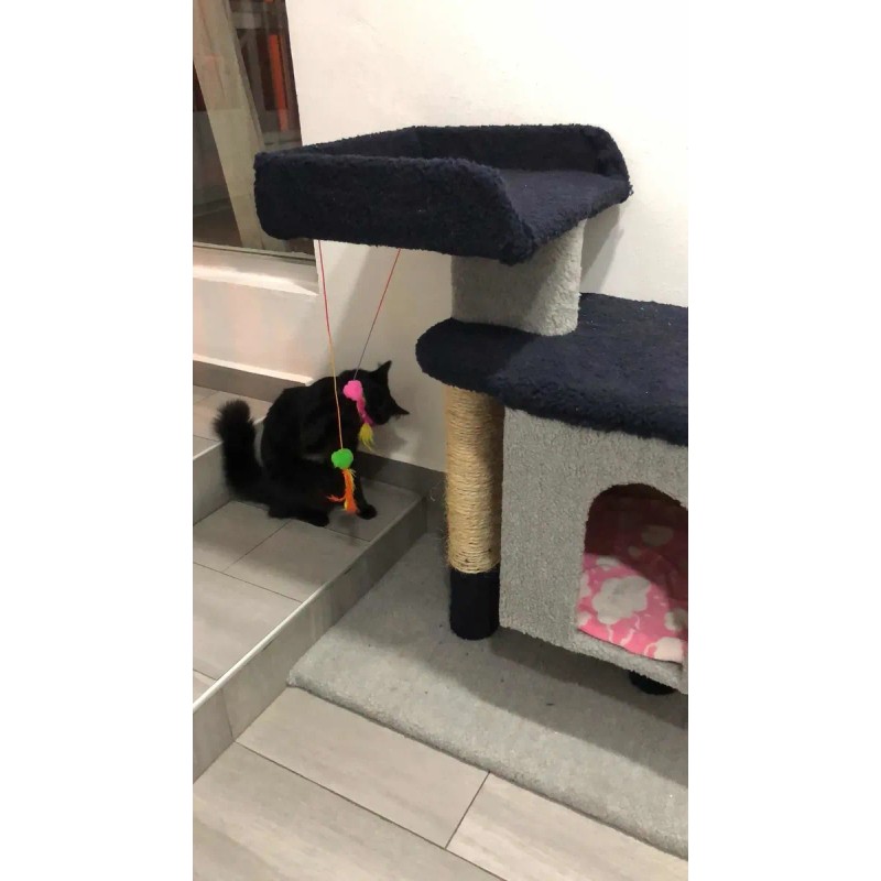 Juguete Colgante Con Plumas Para Gato (Usado)