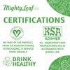 Mighty Leaf Green Tea Tropical 100ct.