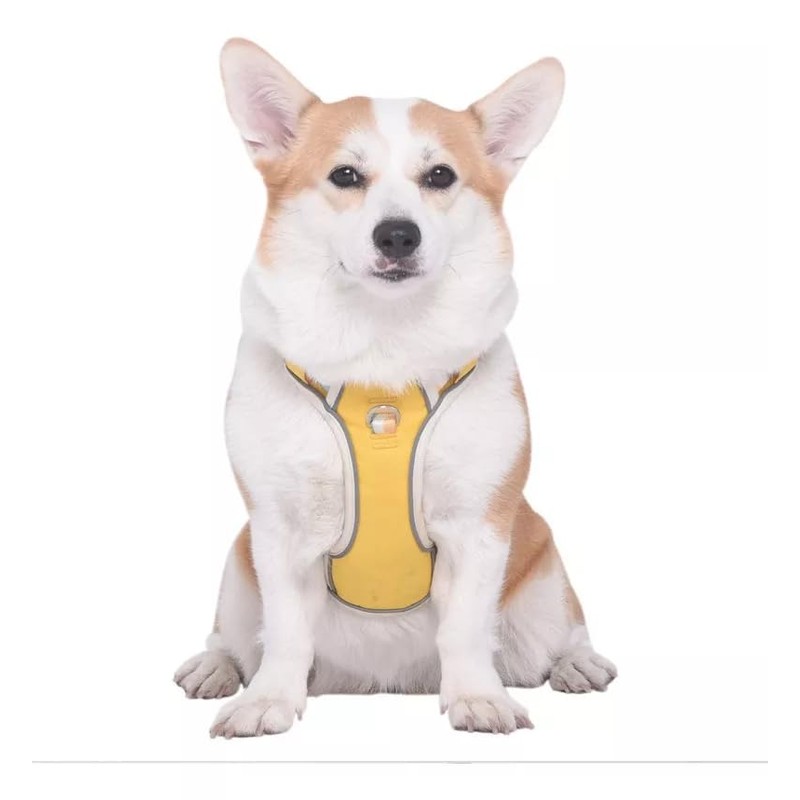 UNA MASCOTA Arnés para Perro - Arnés Pechera para Perros,