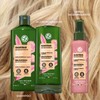 ¡NUEVOS Shampoos Yves Rocher! Nueva formula y nueva presentación (Shampoo