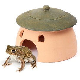 Terracotta Reptile Cave with Green Lid - 8 * 6 Inches Hiding Place for Toad, Frog, Turtle, Lizard