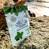 Chewable Liquid Filled Mint Capsule Breath Fresheners, 120 ct. Fights