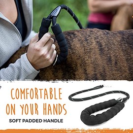 Mighty Paw- Correa doble para perro | Correa doble para dos mascotas con agarre cómodo y Cuerda de Escalada resistente a la intemperie. Gancho giratorio de 360° sin enredos. Separador ajustable para razas pequeñas, medianas y grandes (negro)