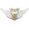 Combat Aircrew Wing 6" Decal - Veteran Owned Business