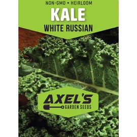 White Russian Kale Seeds for Planting – Plant & Grow Heirloom White Russian Kale in Home Outdoor Vegetable Garden, Brassica Napus – 2 Packets