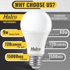 Halco ProLed Led Light Bulbs A19 2 Non Dimmable, Frosted