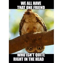 FunnyOwl   refrigerator magnet 3 1/2 x 3 1/2