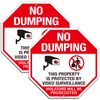 Large No Dumping Sign, Property Protected by Video Surveillance Sign,