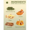 TeeLux Ginger Turmeric Green Tea Bags, Smooth Steamed Green Tea