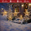 Joysing Solar Christmas Lighting Outdoor Star 2 Pieces 75 LED