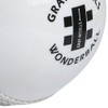 Gray-Nicolls Mens Wonderball Training Cricket Ball - White, Senior