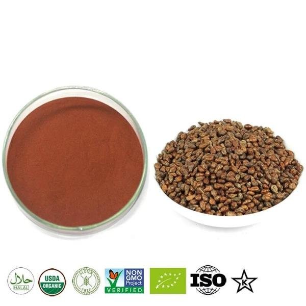 Pure Grape Seed Extract Powder Proanthocyanidins Resveratrol PIP Whitening, 02 100g / 순수 포도 씨 추출물 분말 프로안토시아니딘 레스베라트롤 핍 화이트닝, 02 100g