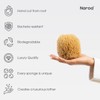 Naroa Unbleached Grass Sea Sponge Natural Exfoliating | Body Puff