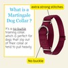 Country Brook Design | Martingale Heavyduty Nylon Dog Collar -