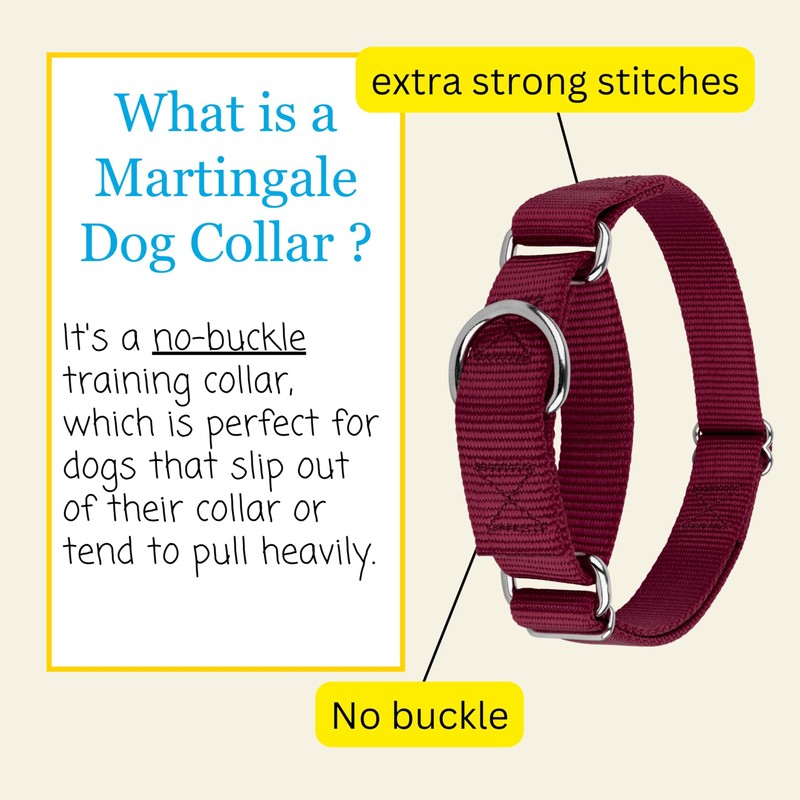Country Brook Design | Martingale Heavyduty Nylon Dog Collar -