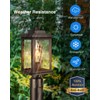 VIANIS Outdoor Post Lights Hardwired 120V, Oil Rubbed Bronze Dusk