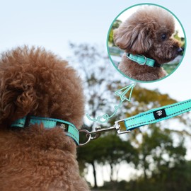 NESTROAD Reflective Dog Collar and Leash Set,Soft Neoprene Pet Collar with Quick Release Buckle,Adjustable Nylon Dog Collars for Small Medium Large Dogs(Large Collar + 5FT Leash,Teal)