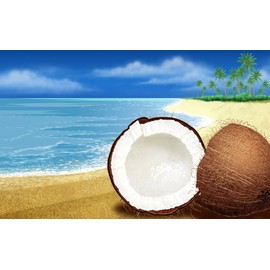 Quiet Time Boutique 1 oz Candle Soap Home Fragrance Oil-Coco Caribbean