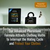Dr. Killigan's Premium Double Potent Clothing Moth Traps with Pheromones