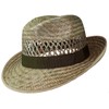 Simple Bogart Shaped Straw Hat, natural