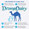 400g Box and Pouch Original Camel Milk Powder (1)