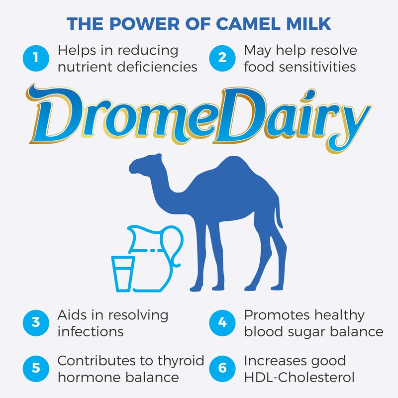 400g Box and Pouch Original Camel Milk Powder (1)