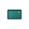 Tradition Acoustic PLATRAY Non-Slip Tray 9.4 inches (24 cm), Green,