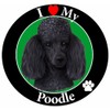 E & S Pets Car Magnet, Poodle, Black