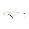 ARNETTE Eyeglasses AN 6133 751 Loopy-doopy Matte Light Gold