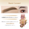 Multi-Perfect Eyebrow Kit with 3 color gradation (eyebrow brush, screw