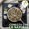 Xenivalle - Abedul Hojas Secas Natural para Té e Infusiones