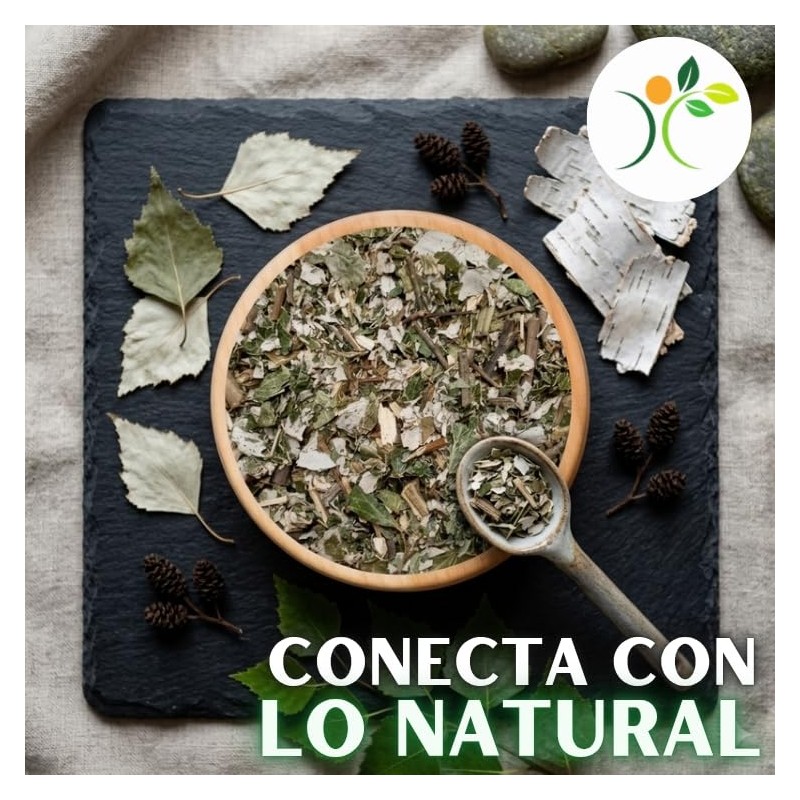 Xenivalle - Abedul Hojas Secas Natural para Té e Infusiones