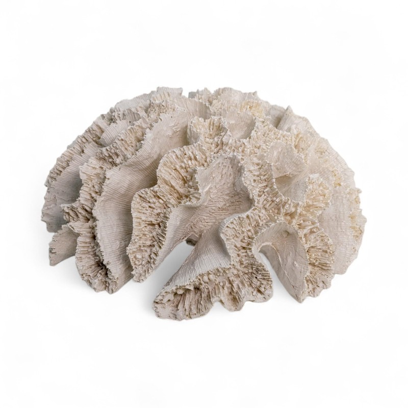 Artificial Coral Round 20 x 9 cm White Sea Decoration