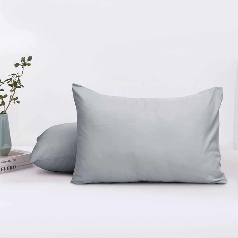 Aspire Homeware Pillow Cases 2 Pack – 100% Brushed Microfiber
