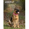 JOOCPUP Martingale Dog Collar | No-Slip Escape Proof Reflective Nylon