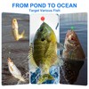YELARXI Fishing Beads Glow Soft Plastic Fish Rigs 4 mm