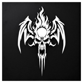 CAR Gargoyle Decal Sticker Skull Flat Surfaces Car Truck Motorcycle Laptop Window