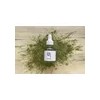 Beauty Of Joseon Sérum Calmante 30ml Té Verde Panthenol Todo