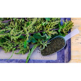 mynatura Mynatura Bio Brennnesselsamen ganz 2x 300g I Rohkostqualit?t I Naturbelassen I Vitamine I Mineralien I Eiweisshaltig I Vegan I Wildsammlung I DE-?KO-044 I 300g Beutel (2)