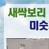 가정 식사 대용 새싹보리 검은콩 미숫가루 스틱 간식 명절 추석