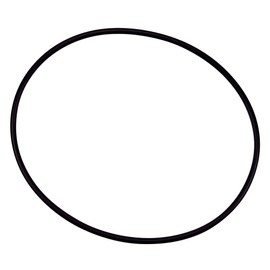 Pentair 154493 O- Ring Closure for Triton Filter