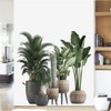 Condessacity Wall Stickers, Plants, Greenery, Potted Plants, Greenery, Scenery, Removable