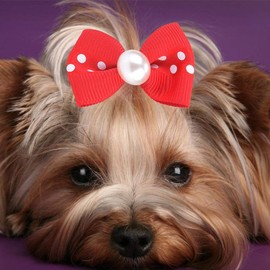 HEEPDD 20 pcs/Pack Arcos de Pelo para Perros, Mezcla de Colores Bowknot de Pelo con Bandas de Goma Fuertes y Perlas de Diamantes de imitación Topknot Accesorios de Aseo para Perros pequeños Yorkie